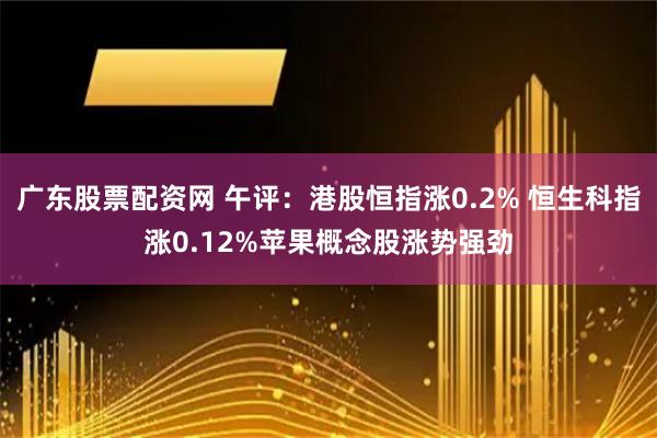 广东股票配资网 午评：港股恒指涨0.2% 恒生科指涨0.12%苹果概念股涨势强劲