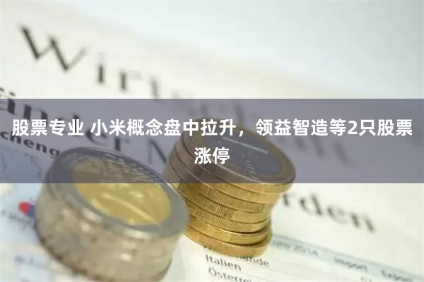 股票专业 小米概念盘中拉升，领益智造等2只股票涨停