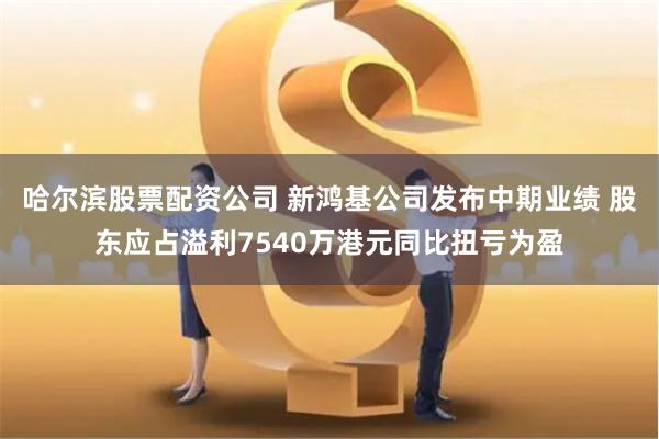 哈尔滨股票配资公司 新鸿基公司发布中期业绩 股东应占溢利7540万港元同比扭亏为盈