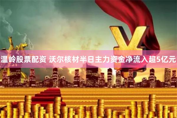 温岭股票配资 沃尔核材半日主力资金净流入超5亿元