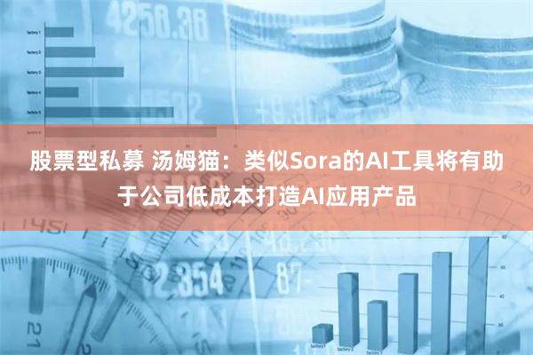 股票型私募 汤姆猫：类似Sora的AI工具将有助于公司低成本打造AI应用产品