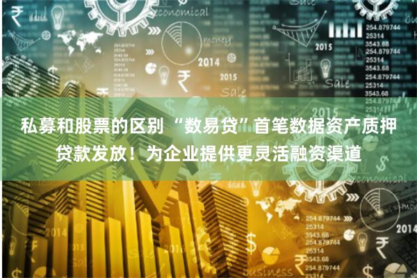 私募和股票的区别 “数易贷”首笔数据资产质押贷款发放！为企业提供更灵活融资渠道