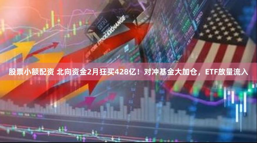 股票小额配资 北向资金2月狂买428亿！对冲基金大加仓，ETF放量流入